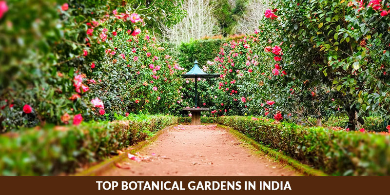 Top Botanical Gardens in India